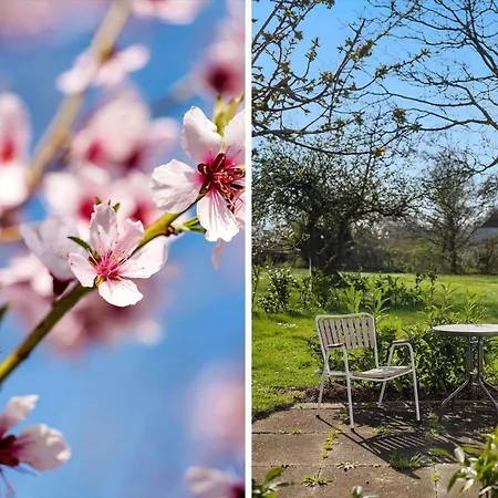 Apartament Ae209-marstal-bralandsvej-1-st