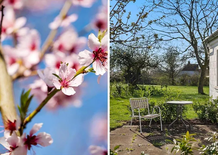 Apartament Ae209-marstal-bralandsvej-1-st